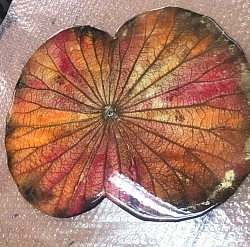 レジンワークショップ