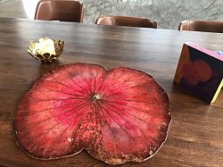 ロータスレジン